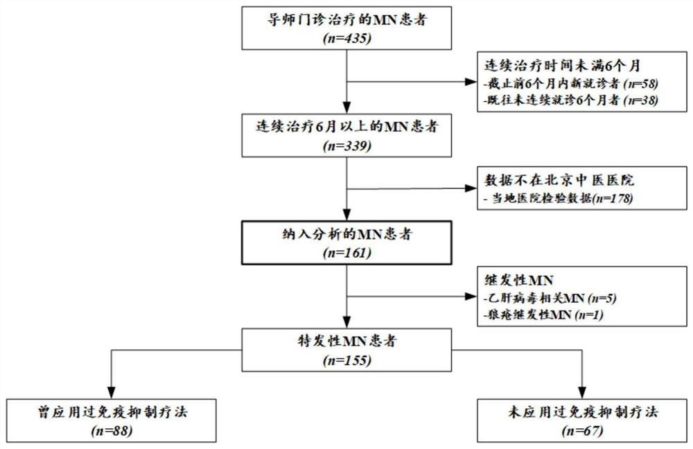 A kind of traditional Chinese medicine composition for treating nephropathy and its preparation method and application
