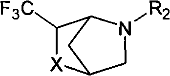 3-trifluoromethyl-2,5-diazabicyclo[2.2.1] heptane derivant and preparation method thereof