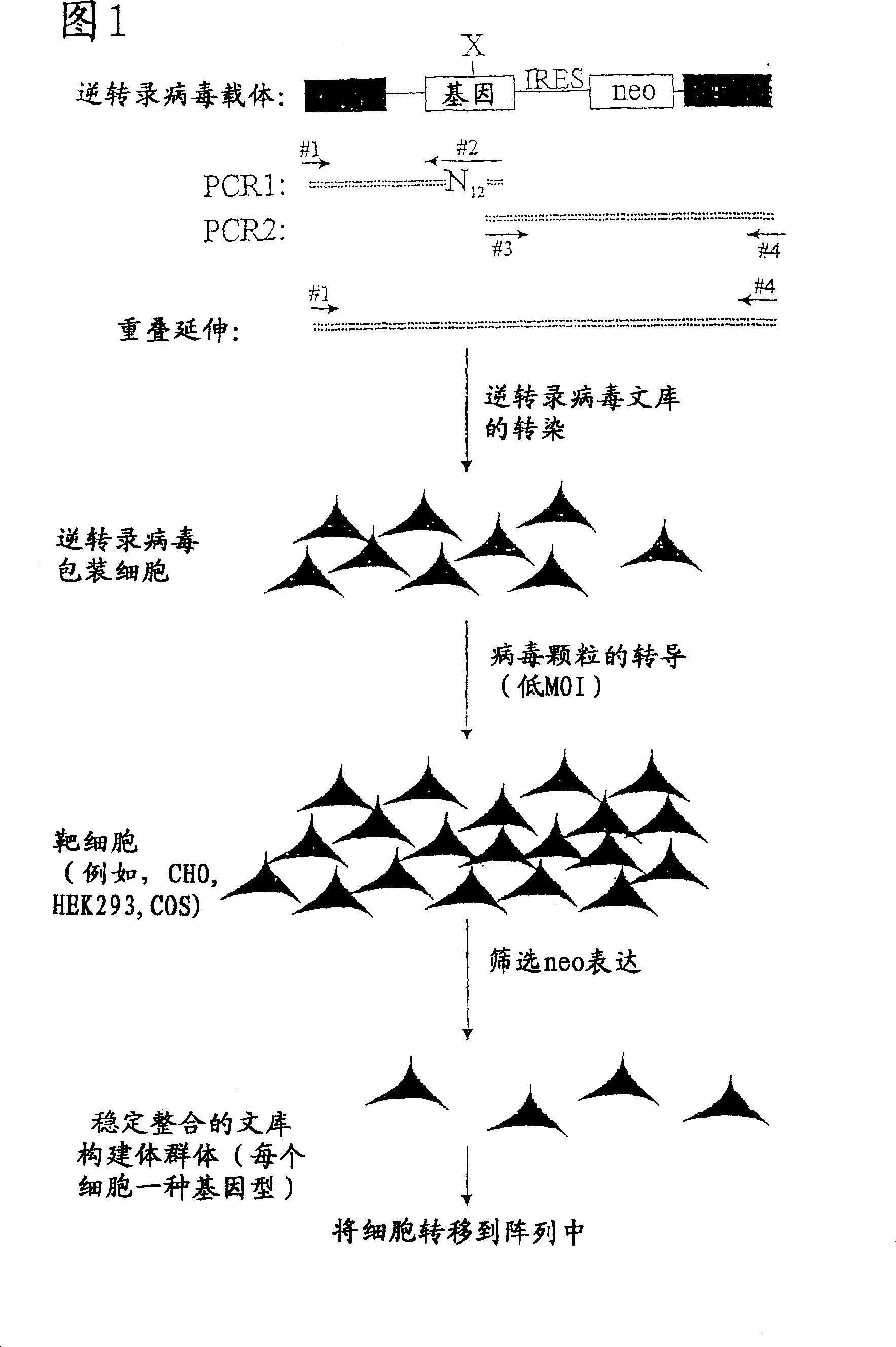 Screening methods