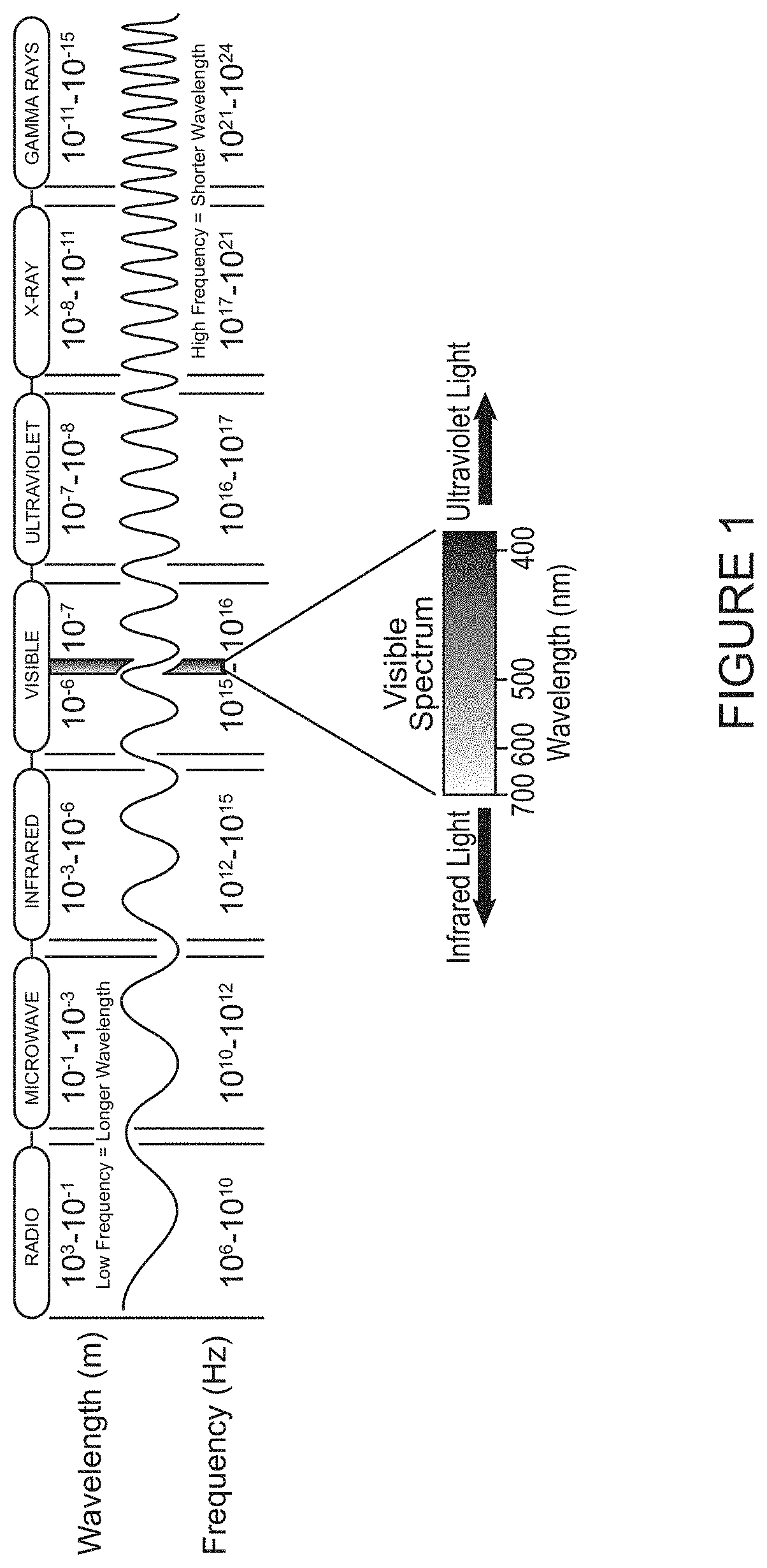Acquisition of Interferometric Recordings of Brain and Neuron Activity by Coherent Microwave Probe with Therapeutic Activation, Inactivation, or Ablation of Molecular, Neuronal or Brain Targets