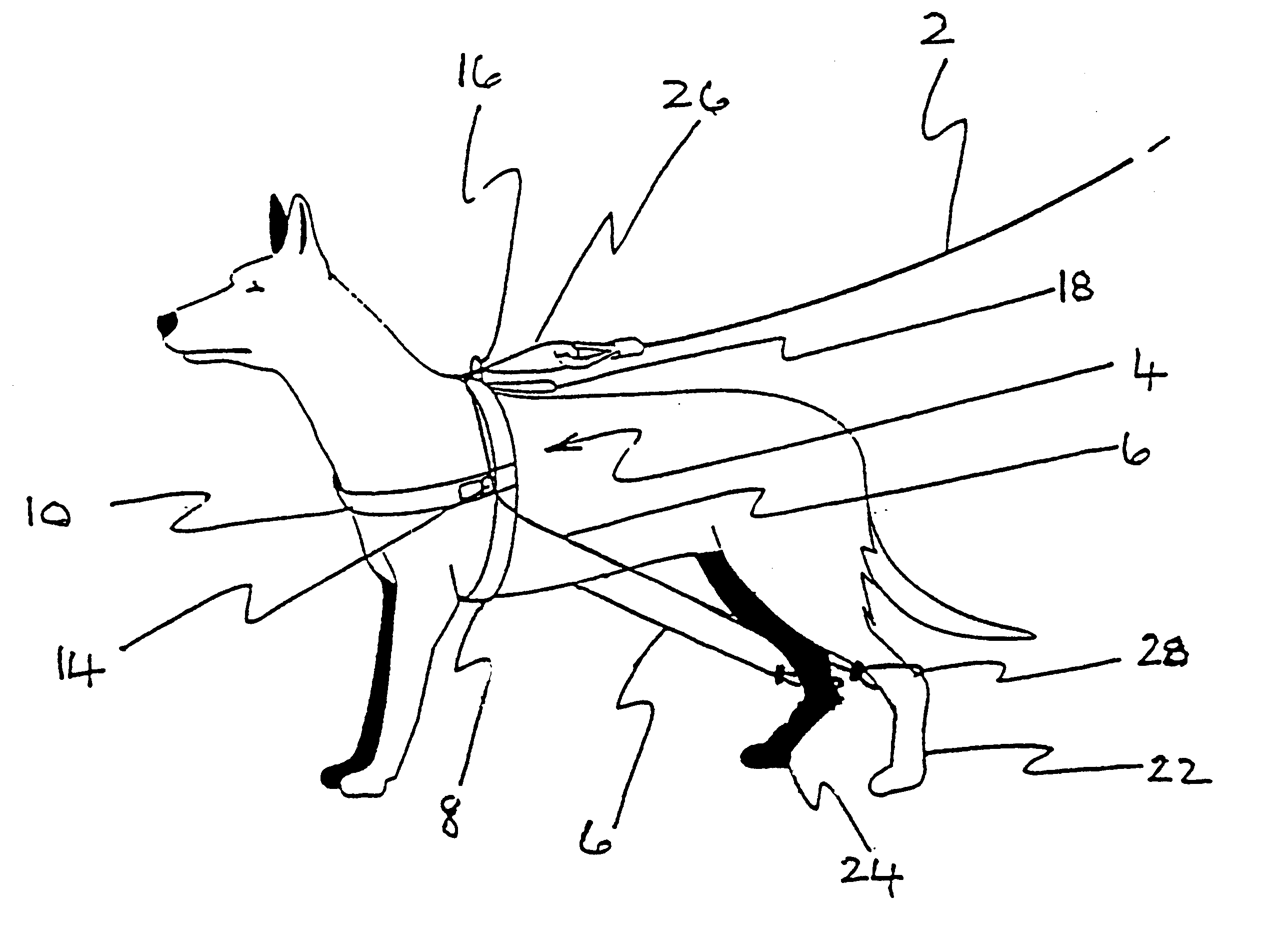 Method and apparatus for controlling an animal