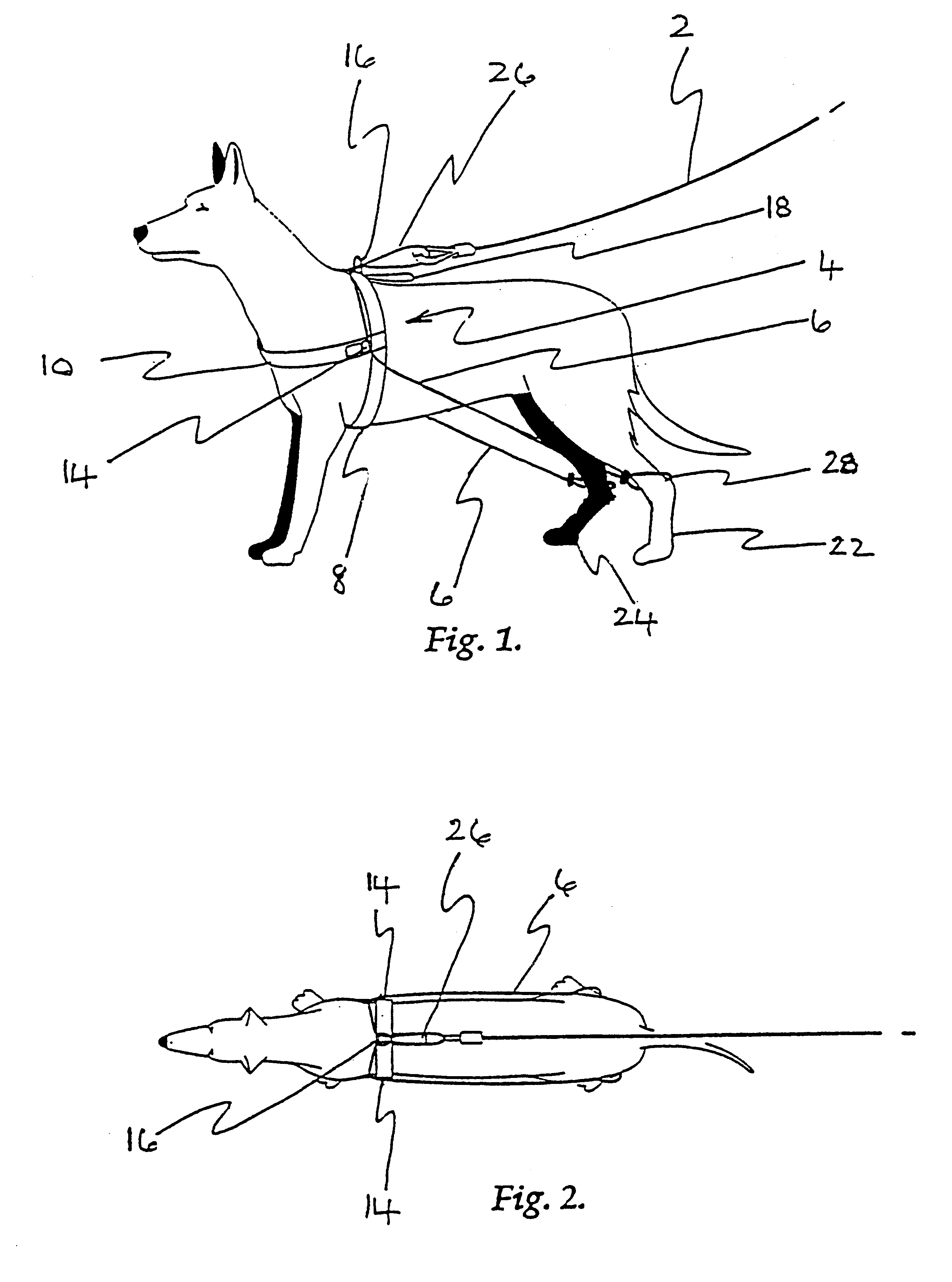 Method and apparatus for controlling an animal