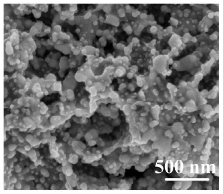 Crosslinked nano carbon plate loaded nickel selenide/manganese selenide nano composite material, preparation method thereof and sodium ion battery negative electrode