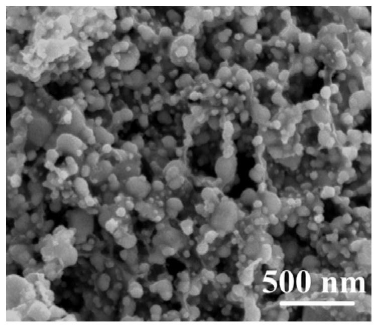 Crosslinked nano carbon plate loaded nickel selenide/manganese selenide nano composite material, preparation method thereof and sodium ion battery negative electrode