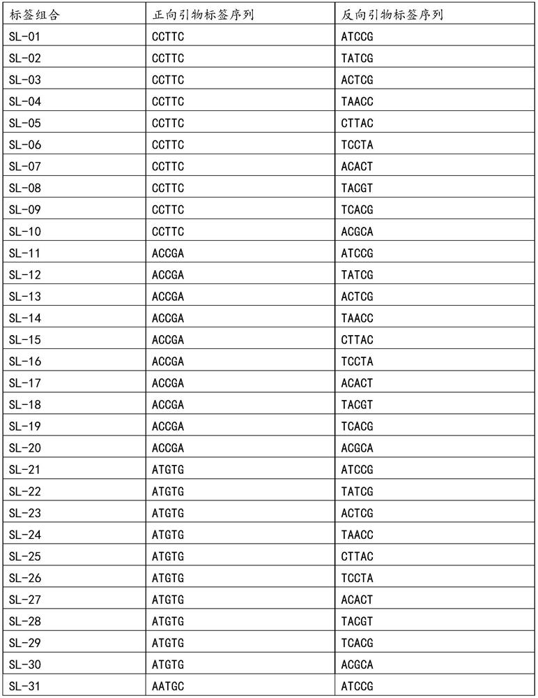 mSNP technology based mixed sample detection method for detecting purity of zucchini seeds