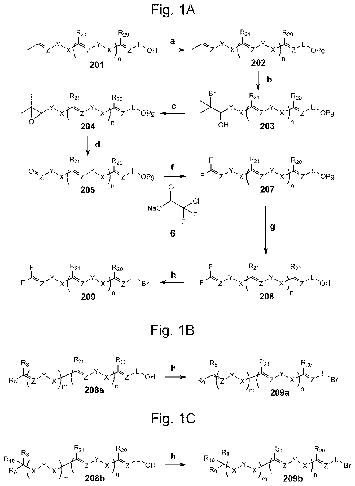 Compositions and methods for the prevention and/or treatment of mitochondrial disease, including friedreich's ataxia