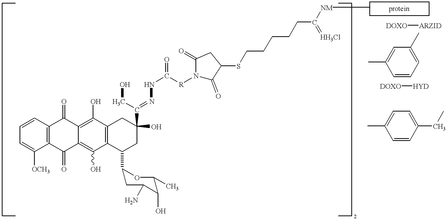 Antineoplastic conjugates of transferrin, albumin and polyethylene glycol