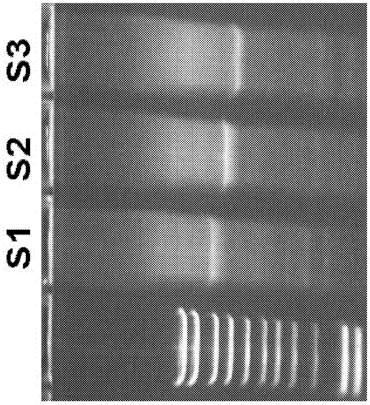 Method of nucleic acid cassette assembly