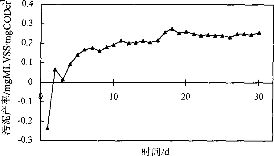 Method for controlling and reducing biological treatment of waste water system sludge by special inocula