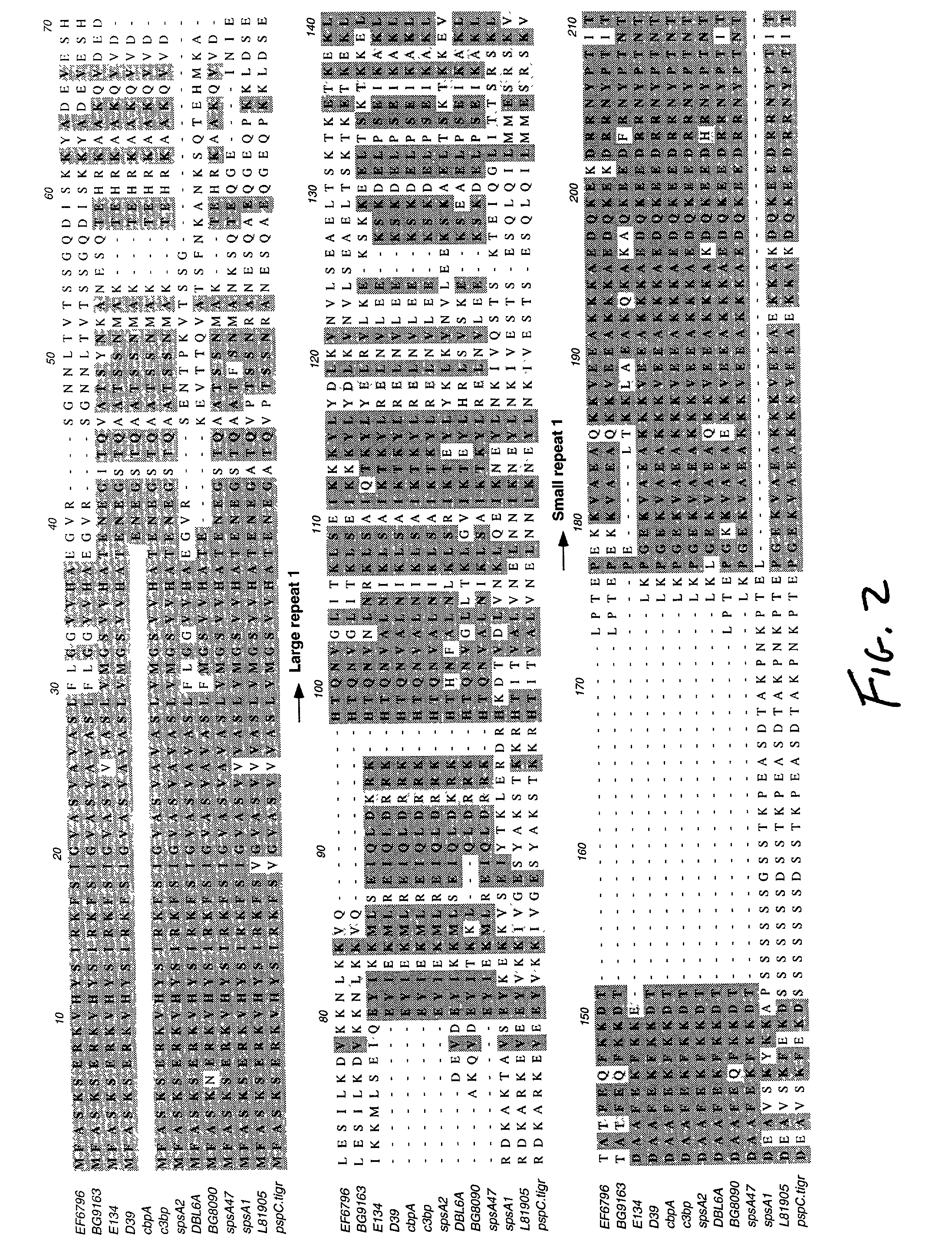 Pneumococcal surface protein c (PSPC), epitopic regions and strain selection thereof, and uses therefor