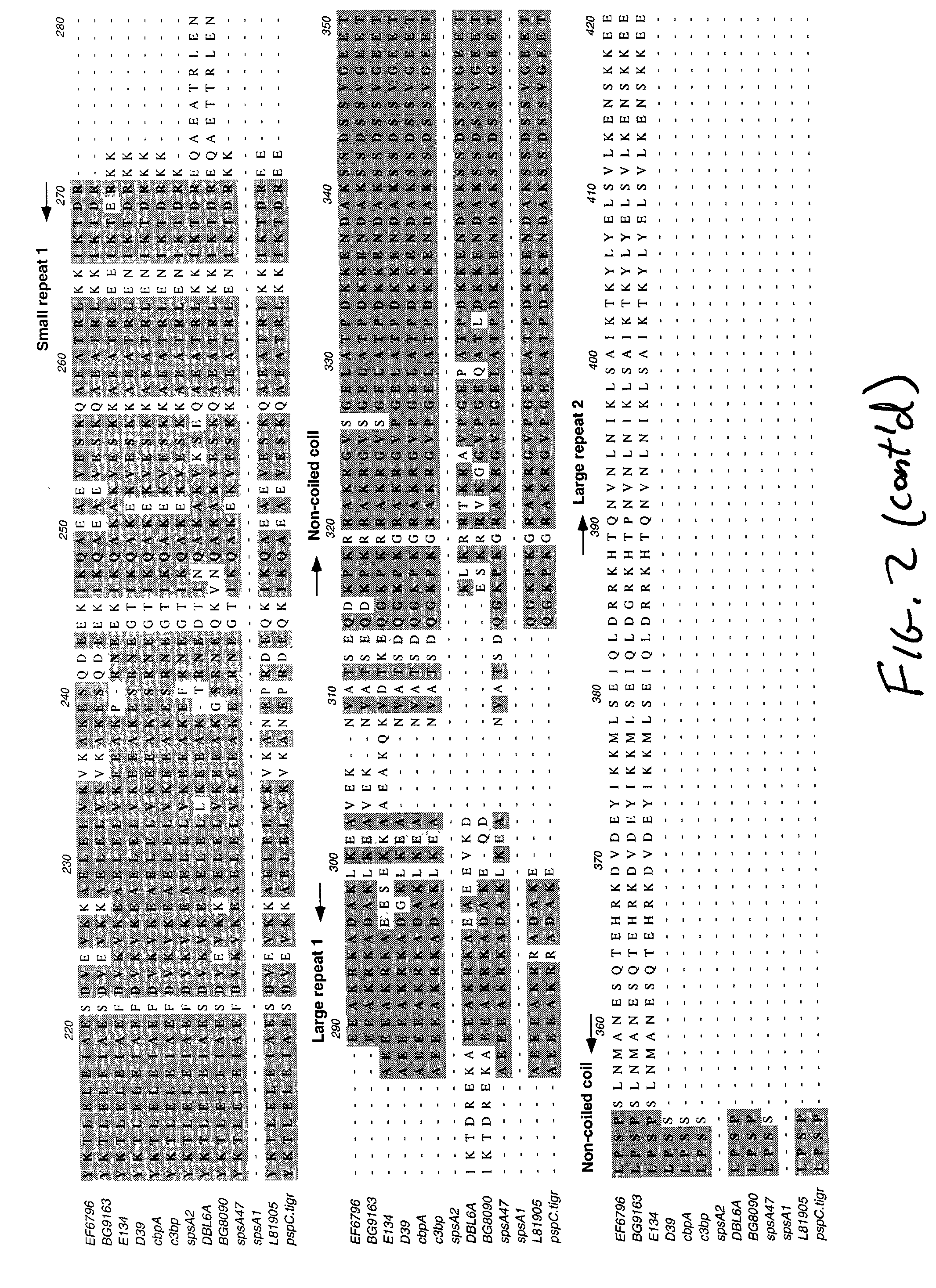 Pneumococcal surface protein c (PSPC), epitopic regions and strain selection thereof, and uses therefor