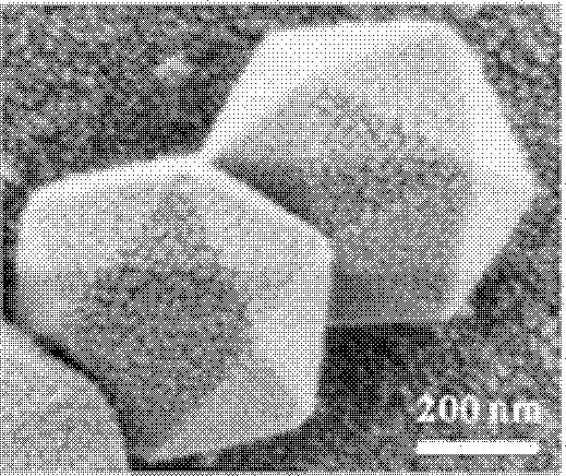 Preparation method of icosahedron crystalline nano nickel-cobalt alloy