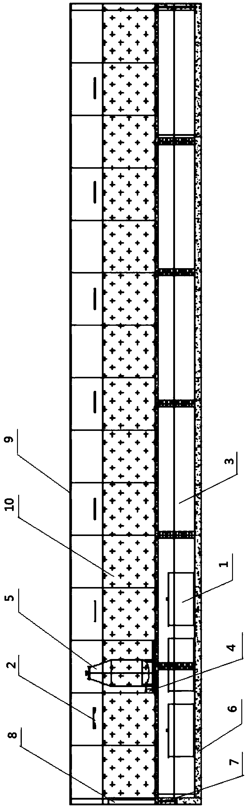 Rainbow trout culture environment release system for environmental release detection of nucleic acid vaccine and environmental release method thereof