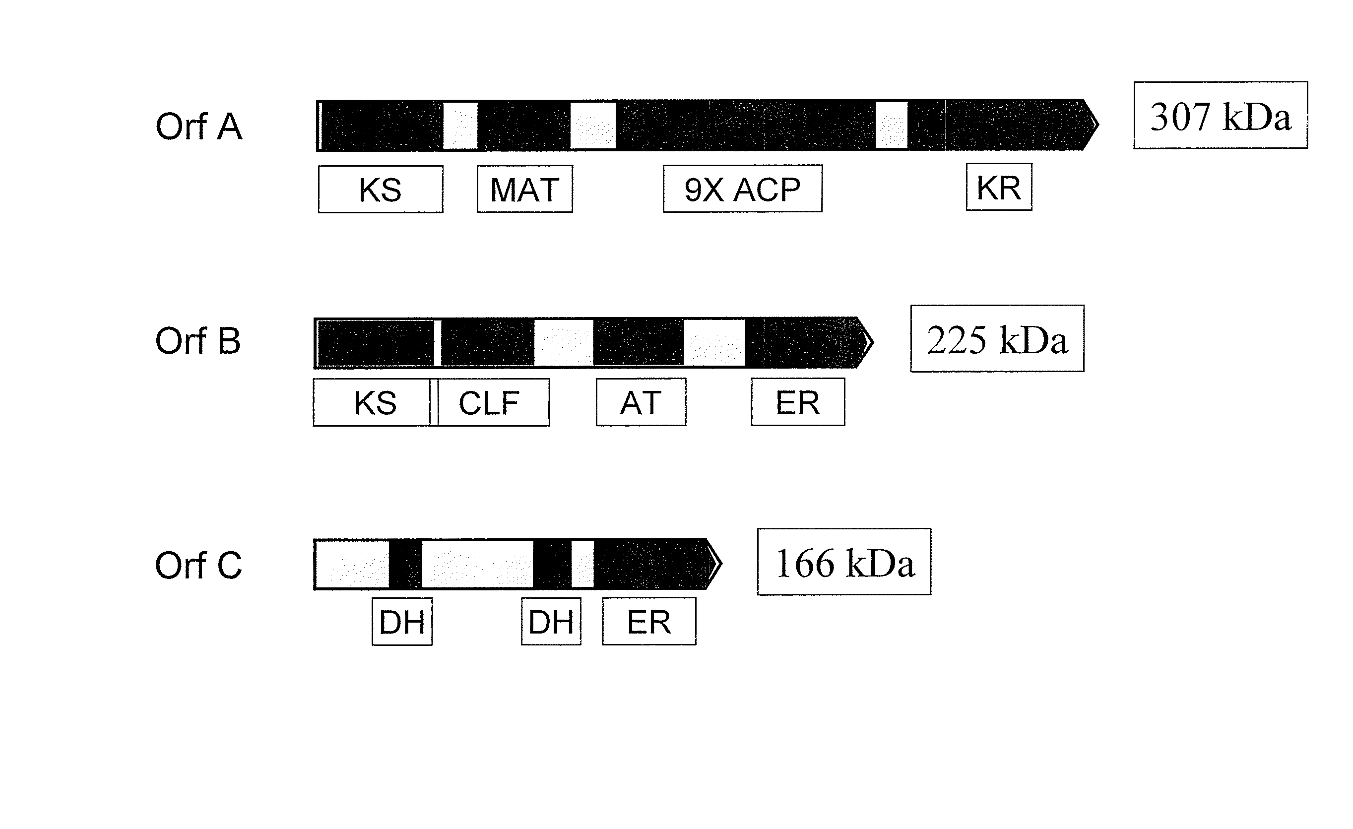 Chimeric pufa polyketide synthase systems and uses thereof