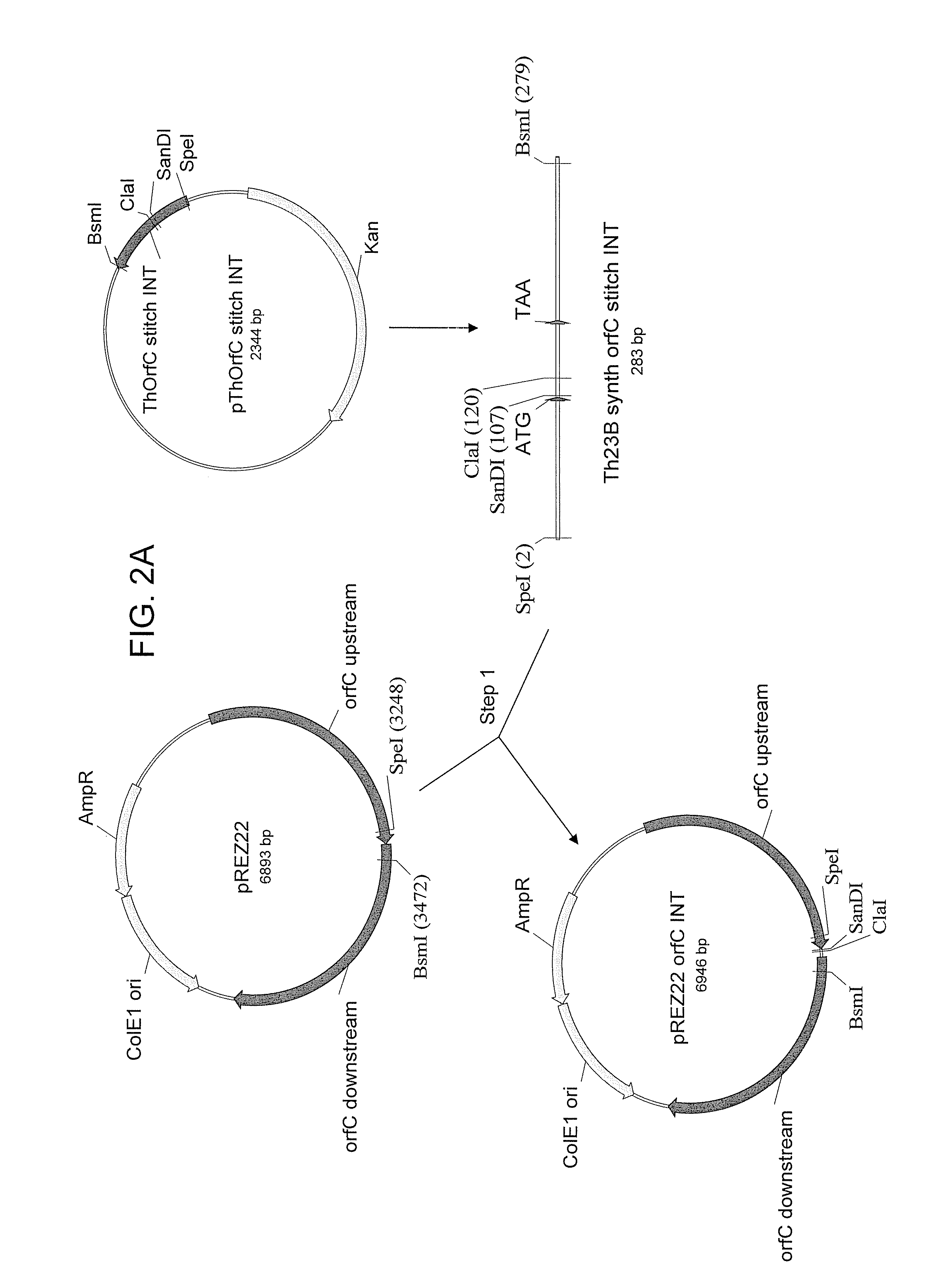 Chimeric pufa polyketide synthase systems and uses thereof