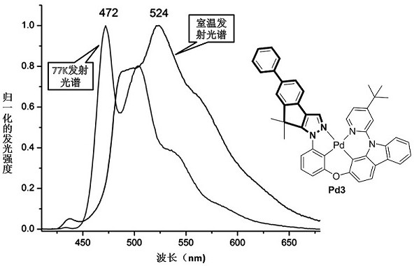 A kind of metal palladium (ii) complex containing bridged phenyl-phenyl-pyrazole structural unit and its application