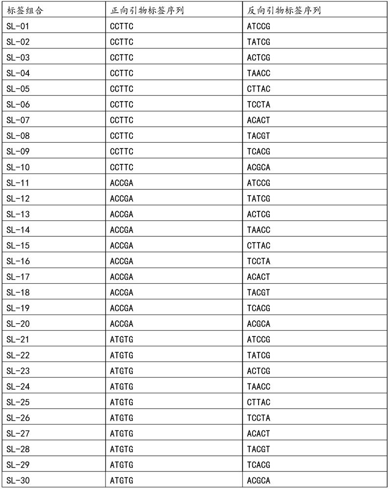 mSNP technology based mixed sample detection method for detecting purity of carrot seeds