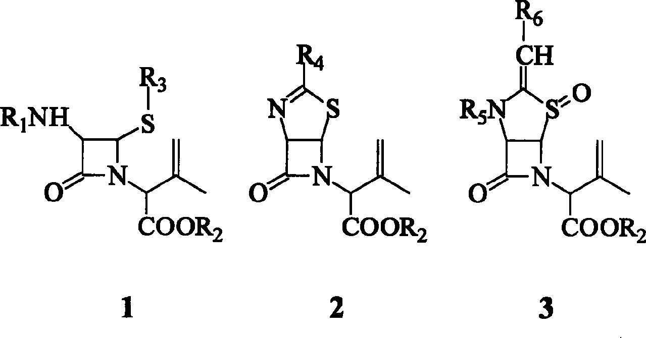 Chloridization method for nitrogen heterocyclic butanone isobutene derivatives