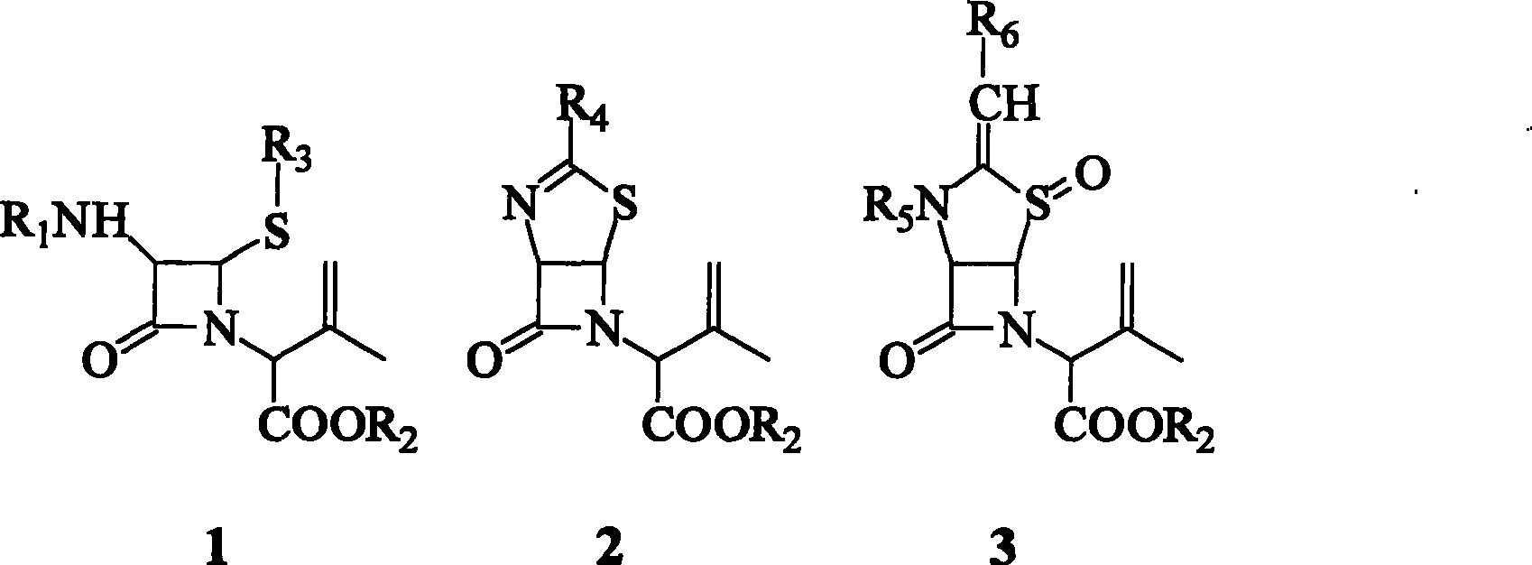 Chloridization method for nitrogen heterocyclic butanone isobutene derivatives