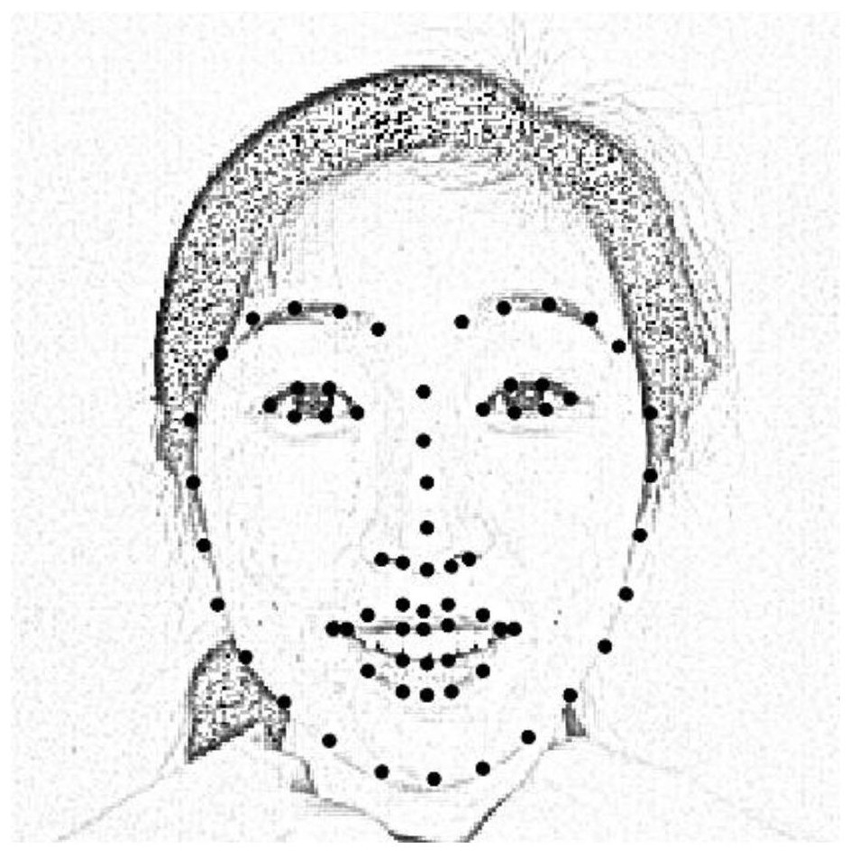 Automatic facial expression recognition method