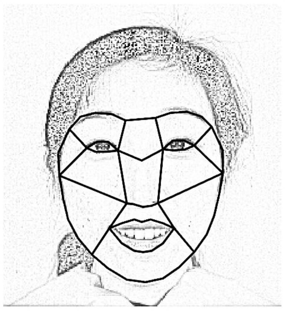 Automatic facial expression recognition method