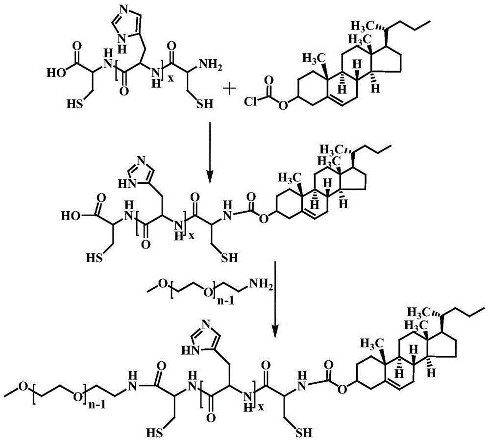 Ph-responsive polypeptide polymer based on cholesterol modification, preparation method and application