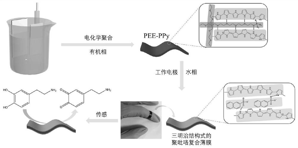 Production of all-polymer self-supporting electrode and application of all-polymer self-supporting electrode in flexible electrochemical sensor