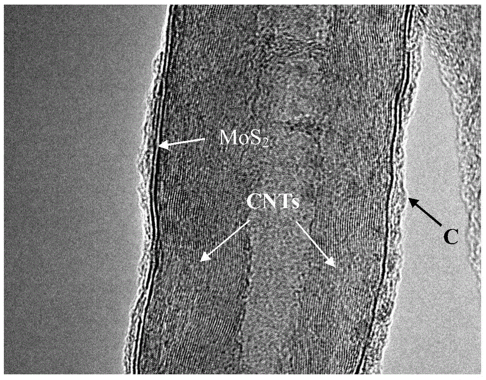 Composite nanotube composed of molybdenum disulfide-carbon-carbon nanotube and preparation method thereof