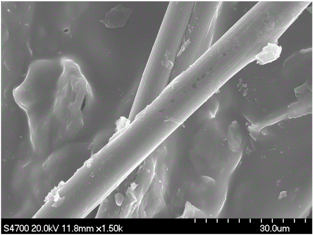 Self-supporting oxygen reduction/oxygen evolution double-effect oxygen electrode catalyst and preparation method therefor