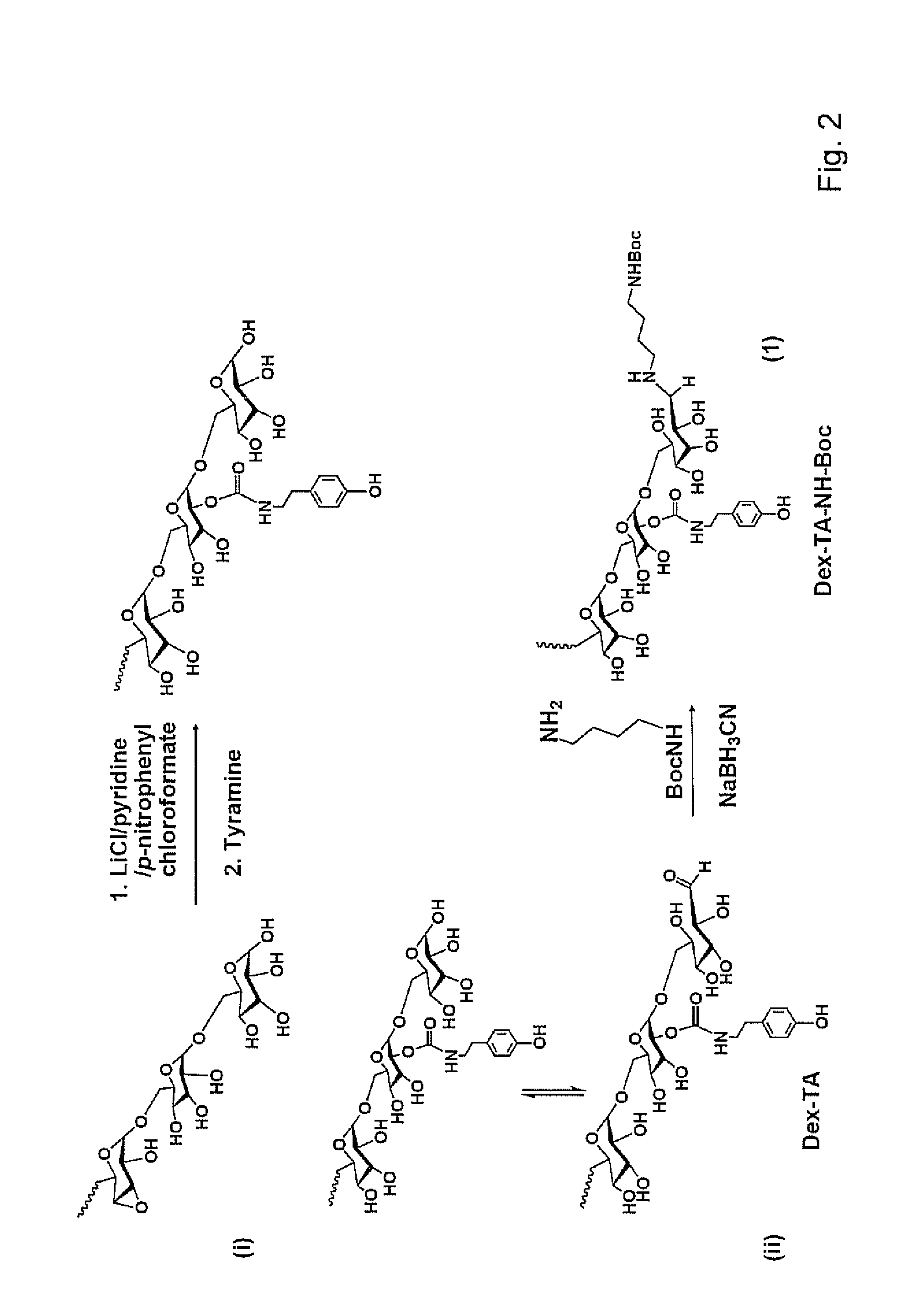 Dextran-hyaluronic acid based hydrogels
