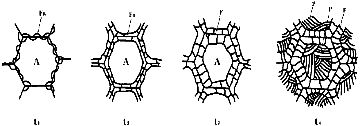 Alloy carburizing steel pretreatment method for changing network ferrites and acicular ferrites in microstructure