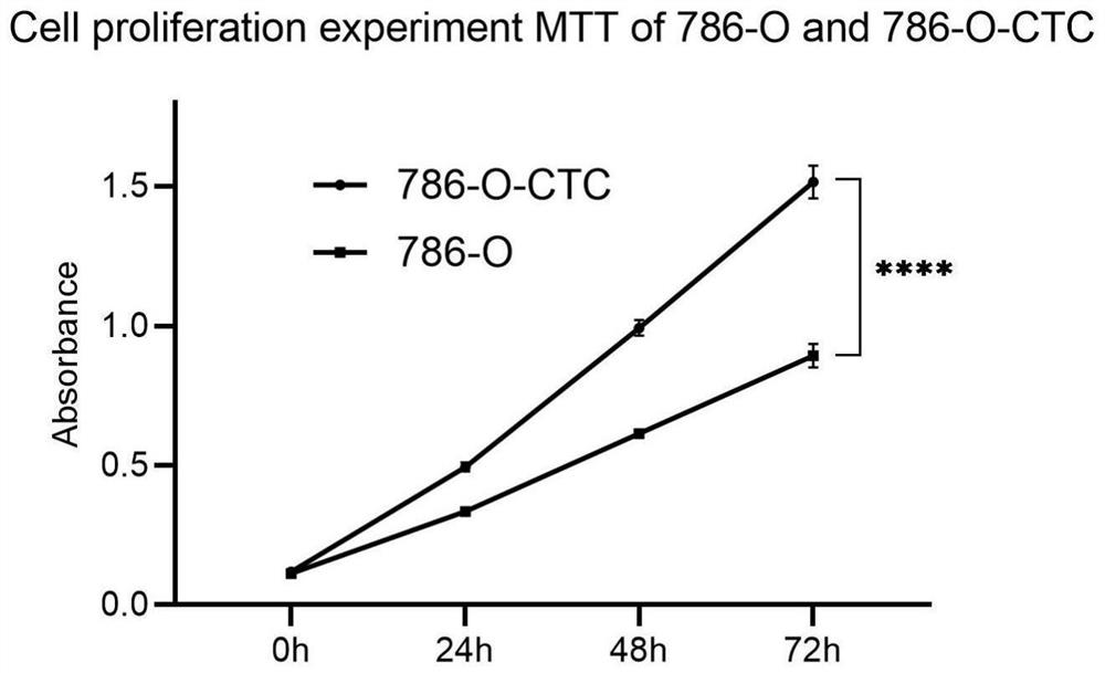 Kidney cancer circulating tumor cell line and acquisition, separation and culture method