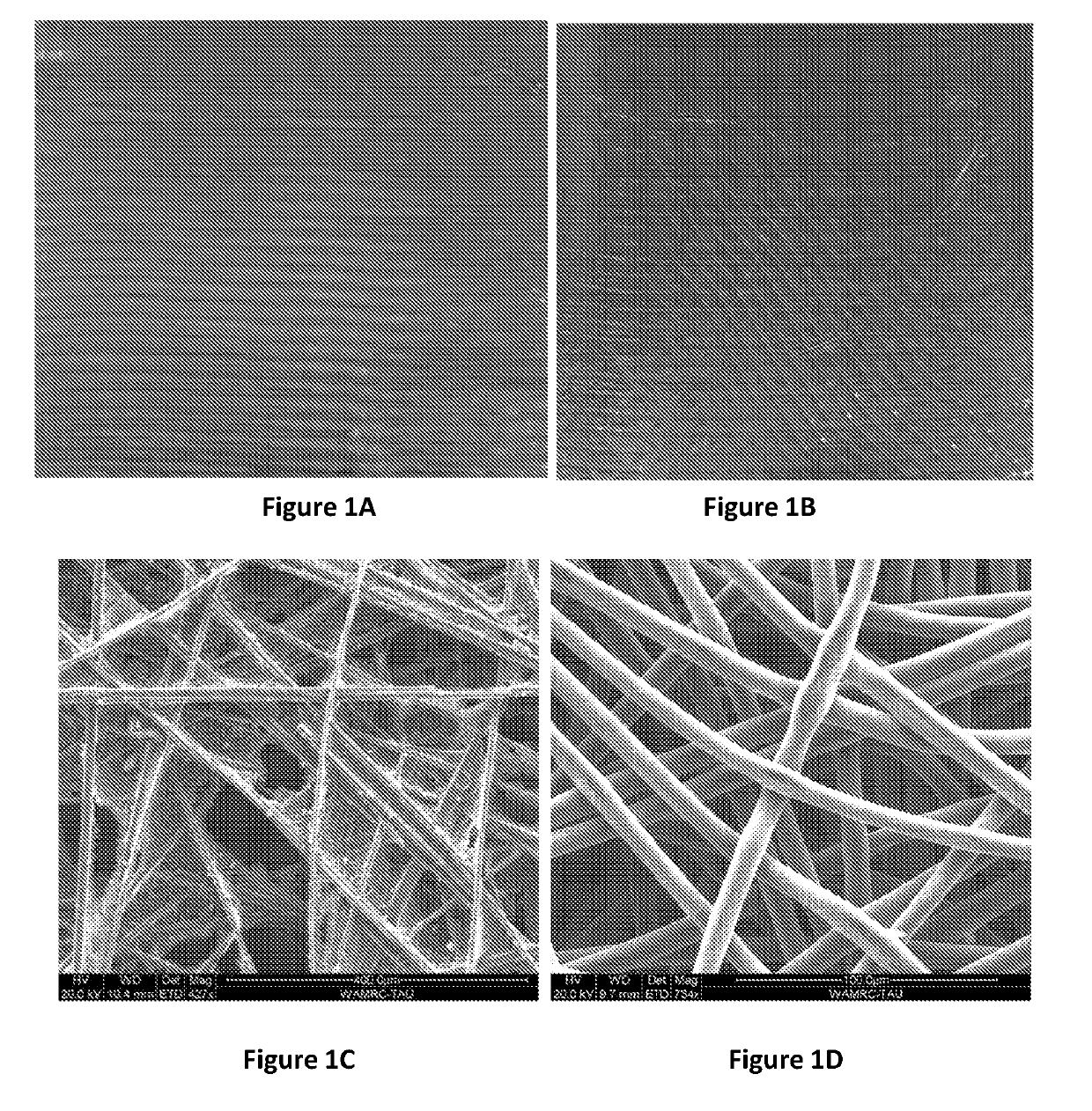 High-capacity silicon nanowire based anode for lithium-ion batteries