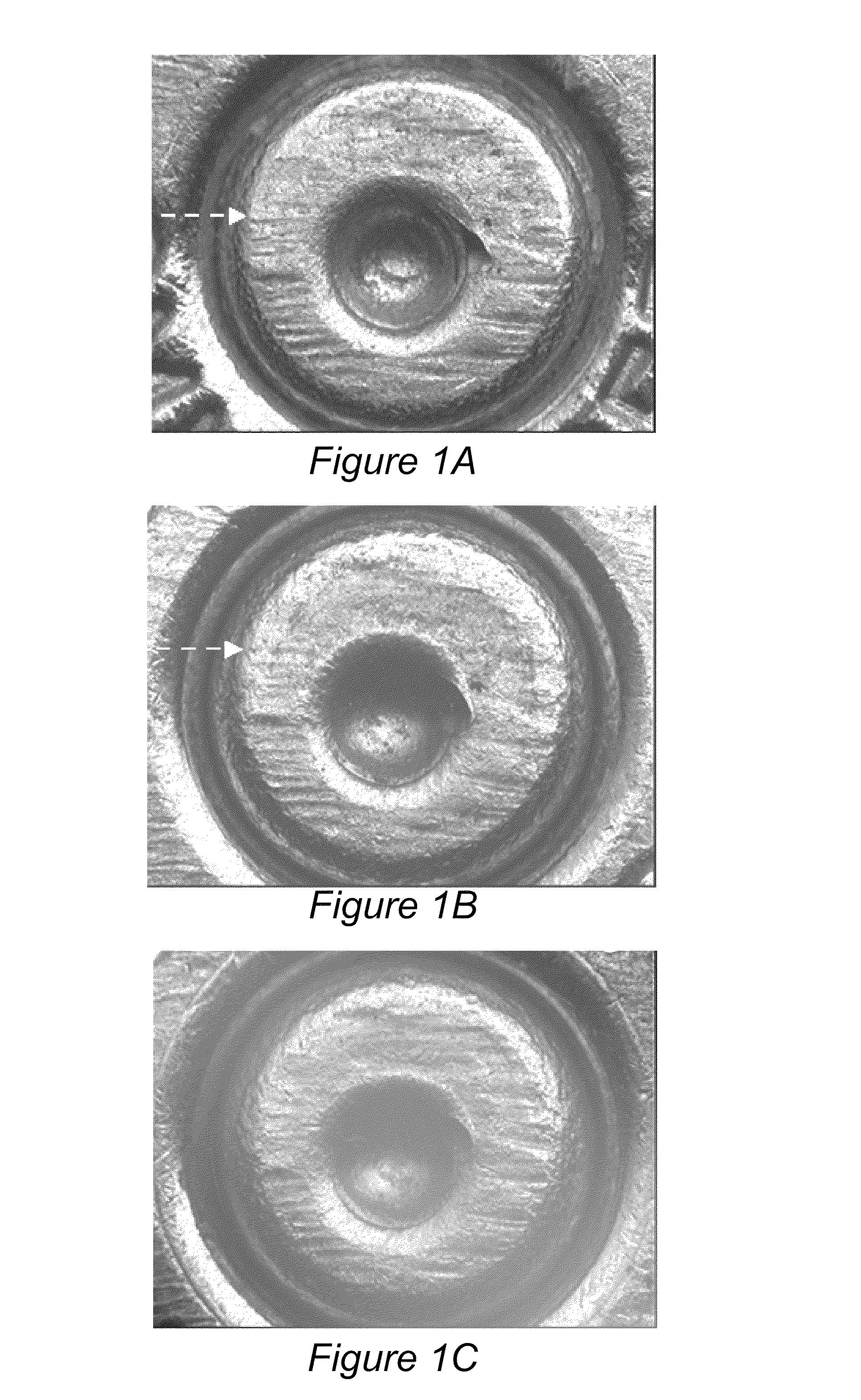 Method and apparatus for alignment, comparison and identification of characteristic tool marks, including ballistic signatures