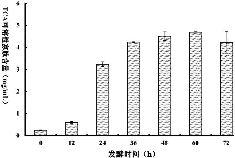 Preparation method of sea cucumber egg fermentation product with functions of lowering blood pressure and resisting blood coagulation