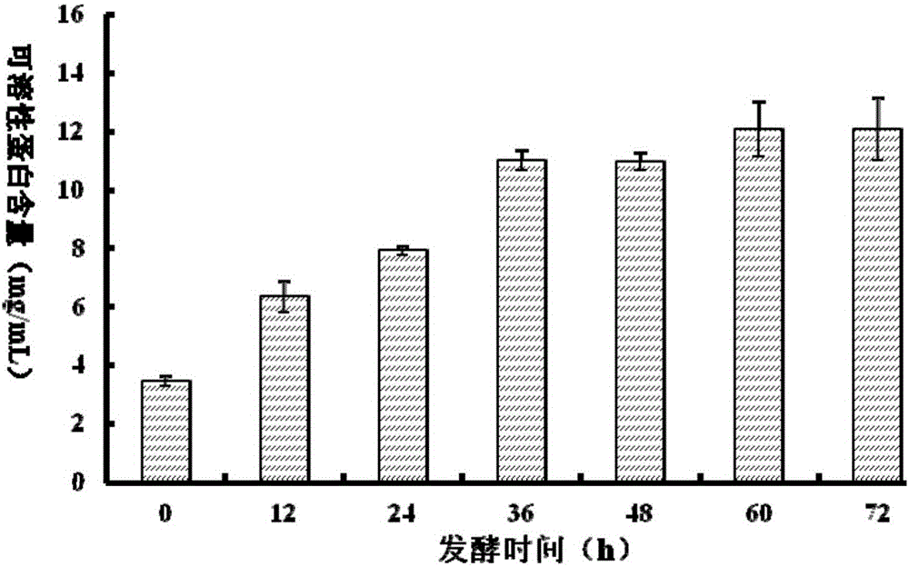 Preparation method of sea cucumber egg fermentation product with functions of lowering blood pressure and resisting blood coagulation