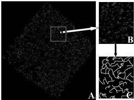 Visual fluorescence labeling technology of silicone rubber filler network structure