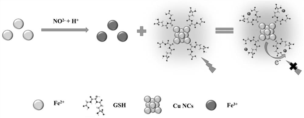Specific nitrite fluorescence detection method based on copper nanoclusters and oxidation reaction