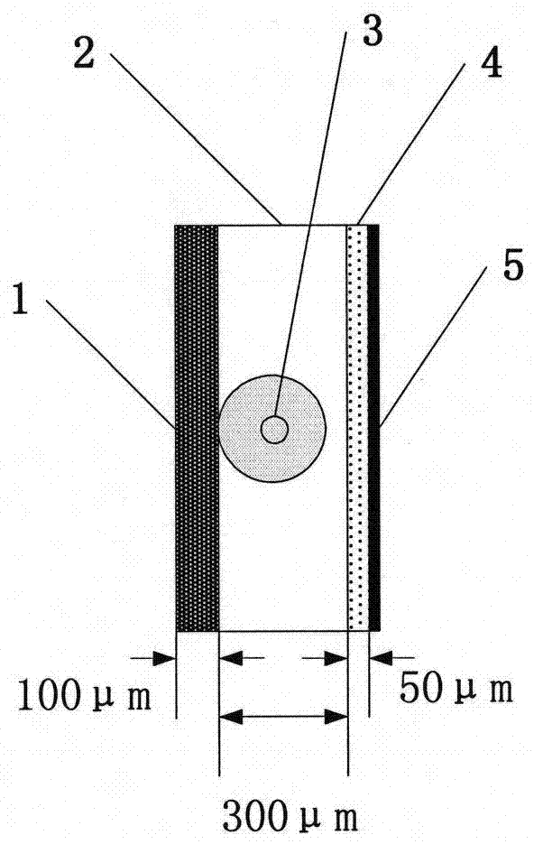 A sensor tape with high temperature strain detection function