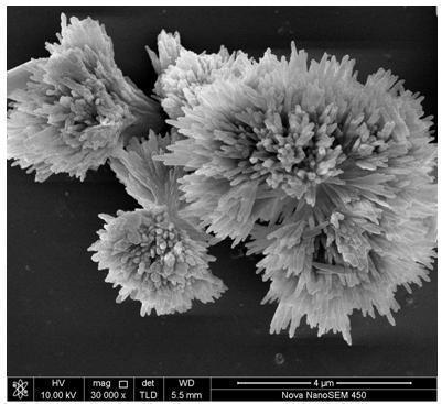 Simple method and device for preparing coral strontium carbonate crystal