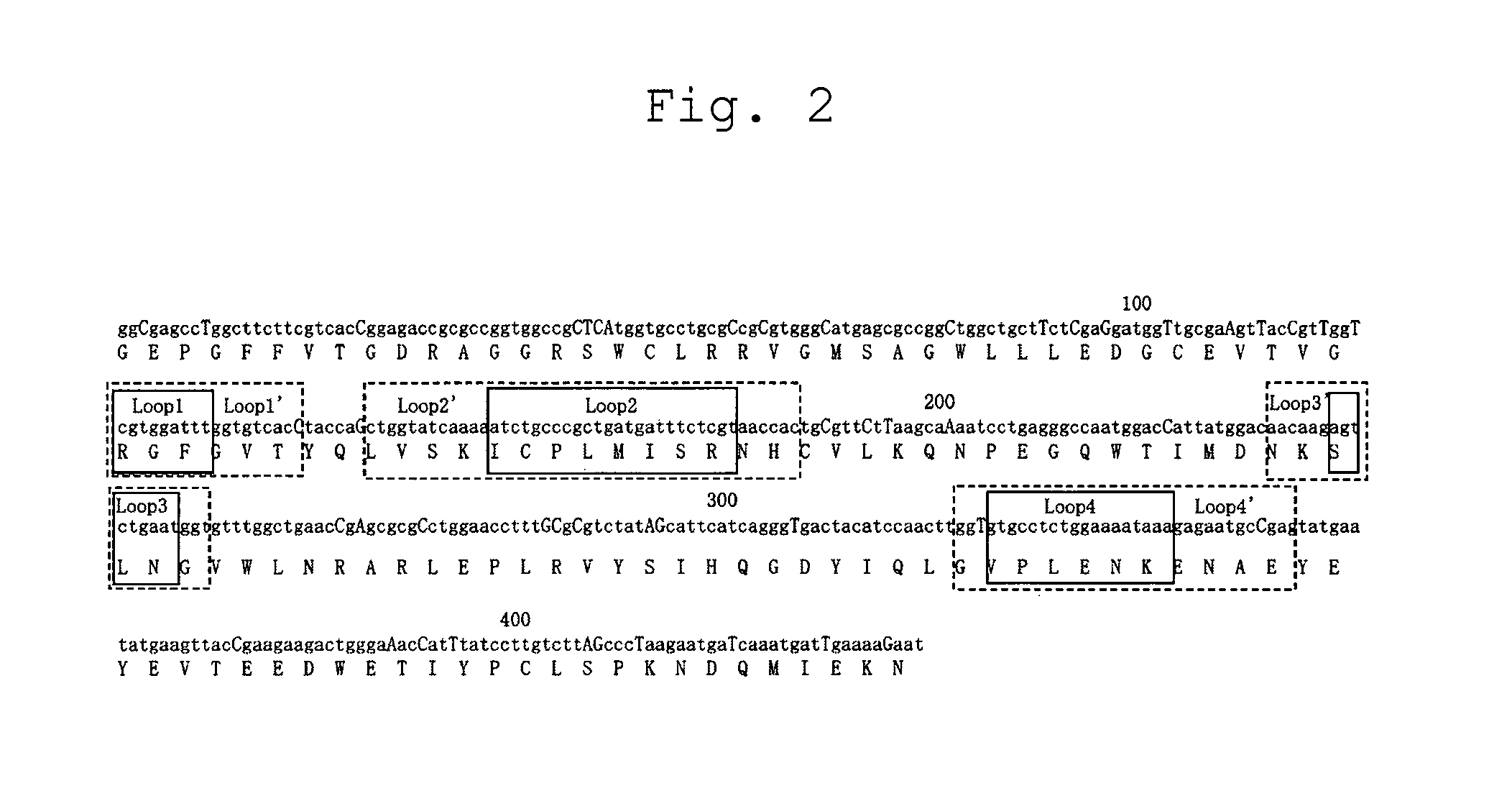 RNF8-FHA domain-modified protein and method of producing the same