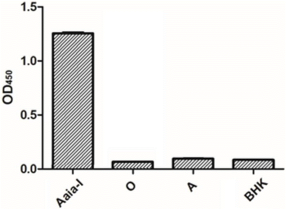 Asial type foot and mouth disease virus antibody solid-phase competition ELISA kit based on specific monoclonal antibody