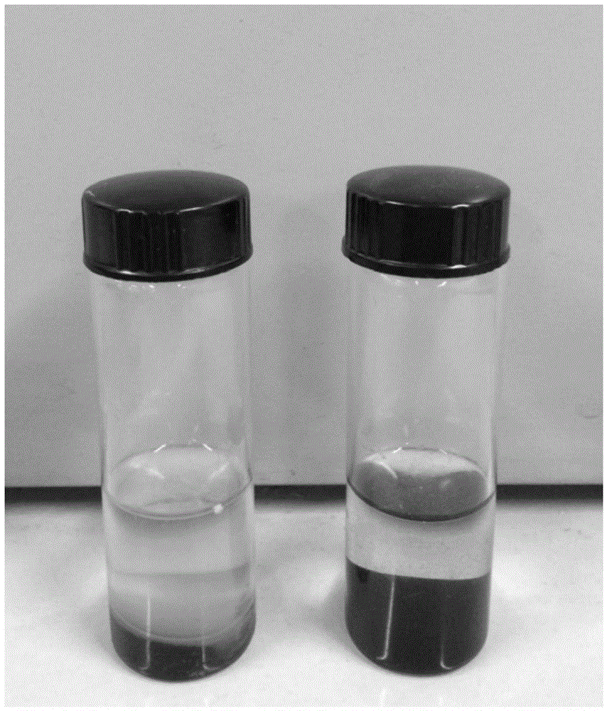 Modified fes nanoparticle and its preparation method and application