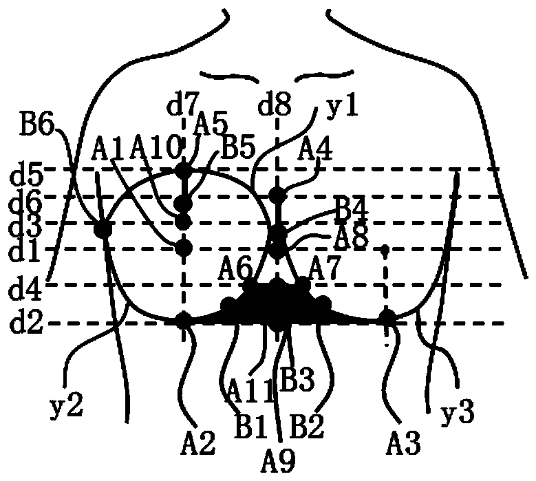 Bra, bra design method and shapewear