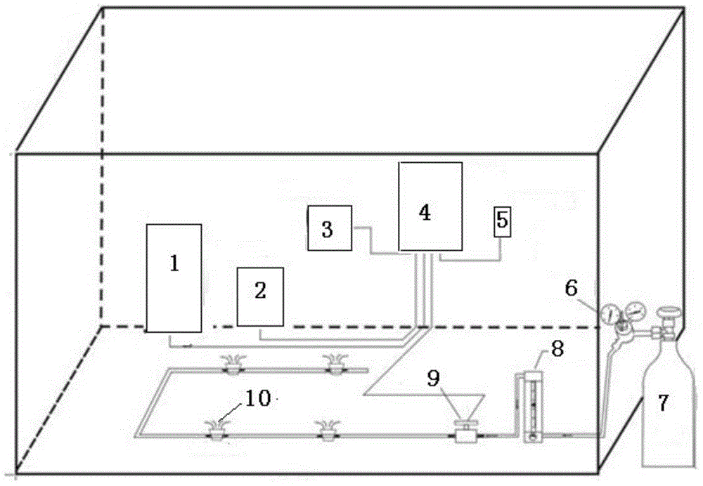 Automatic control system for ripening acceleration of fruit