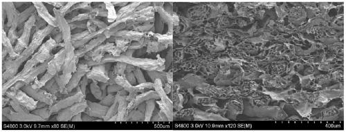 Porous graphene fiber nonwoven fabric and preparation method thereof