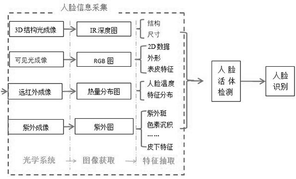 Face living body detection and recognition system