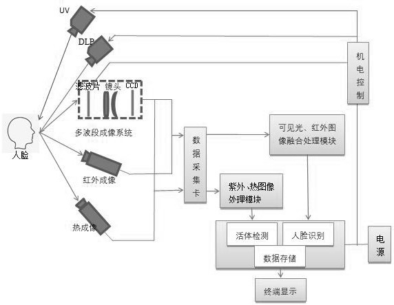 Face living body detection and recognition system