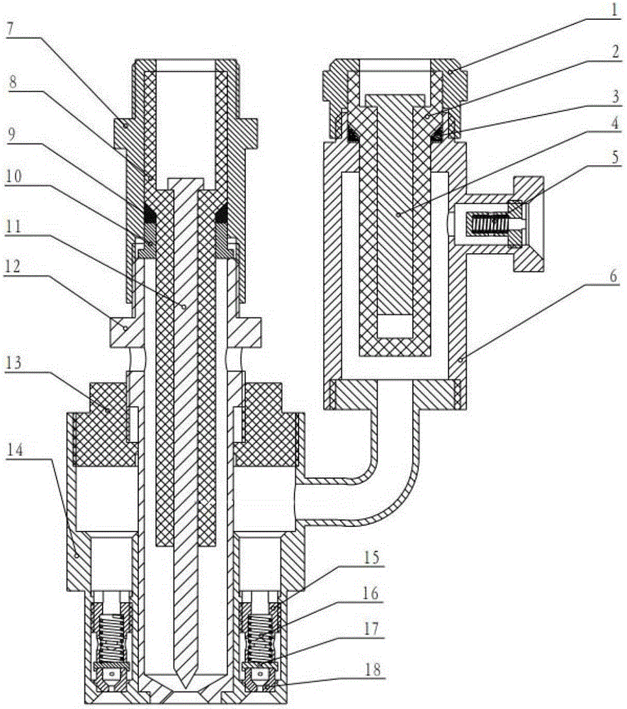 Plasma catalysis ignition integrated nozzle