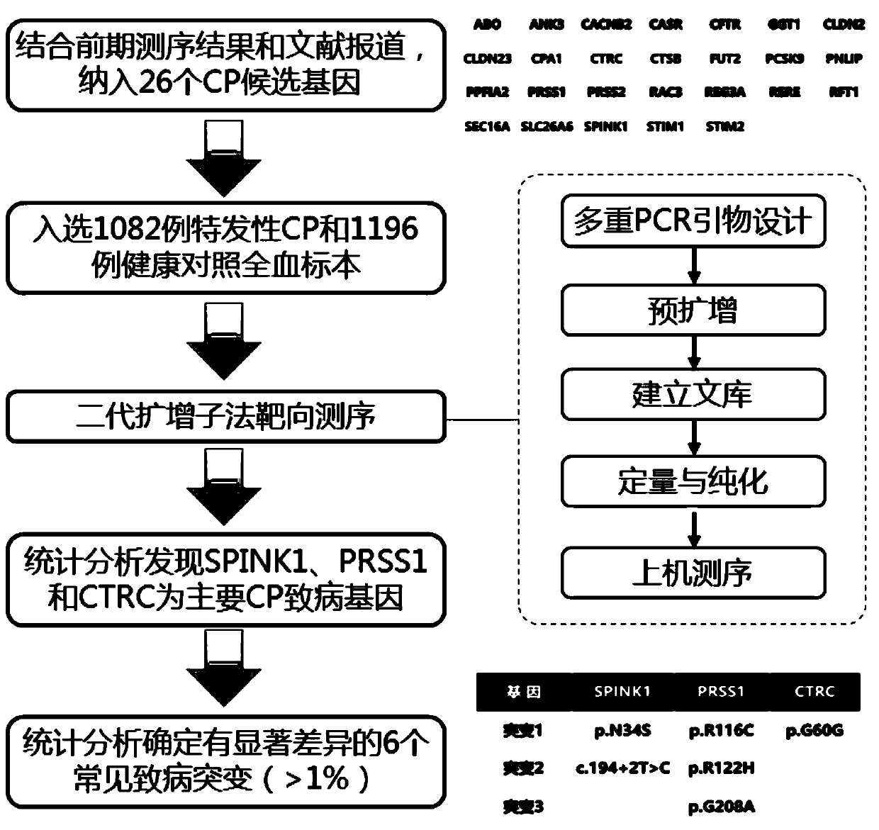 Application of a group of gene mutation sites in the preparation of reagents or kits for diagnosing chronic pancreatitis and evaluating prognosis